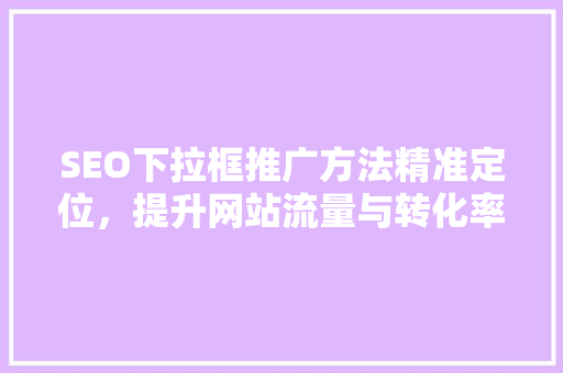 SEO下拉框推广方法精准定位，提升网站流量与转化率