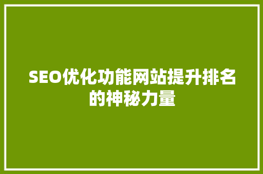 SEO优化功能网站提升排名的神秘力量