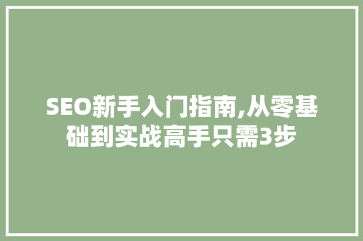 SEO新手入门指南,从零基础到实战高手只需3步