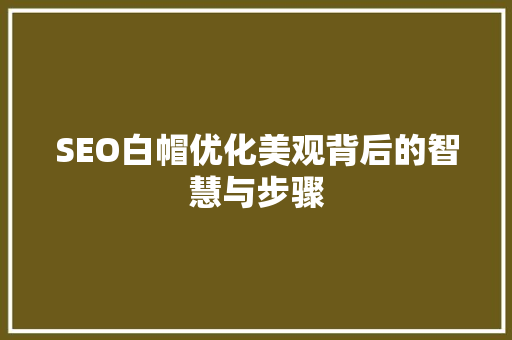 SEO白帽优化美观背后的智慧与步骤  第1张