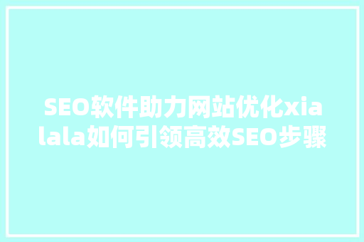 SEO软件助力网站优化xialala如何引领高效SEO步骤