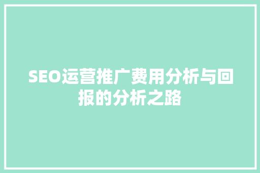 SEO运营推广费用分析与回报的分析之路