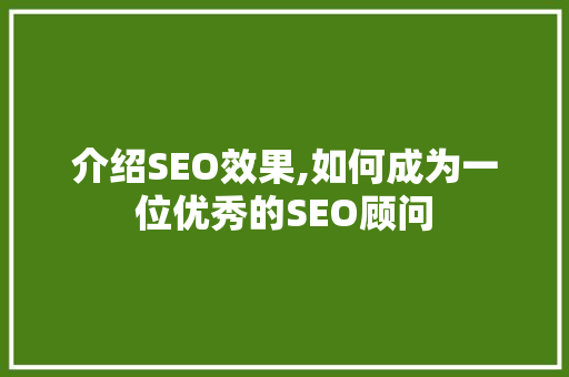 介绍SEO效果,如何成为一位优秀的SEO顾问