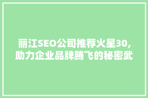 丽江SEO公司推荐火星30,助力企业品牌腾飞的秘密武器