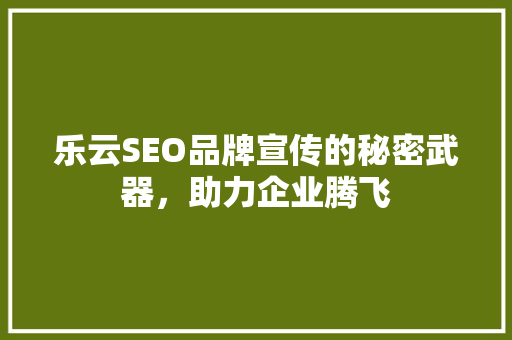 乐云SEO品牌宣传的秘密武器，助力企业腾飞