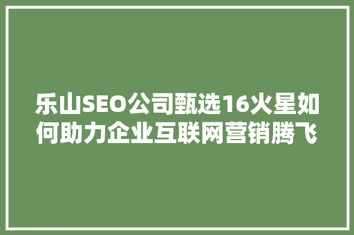 乐山SEO公司甄选16火星如何助力企业互联网营销腾飞