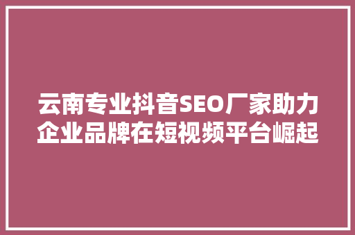 云南专业抖音SEO厂家助力企业品牌在短视频平台崛起