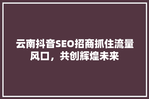 云南抖音SEO招商抓住流量风口，共创辉煌未来