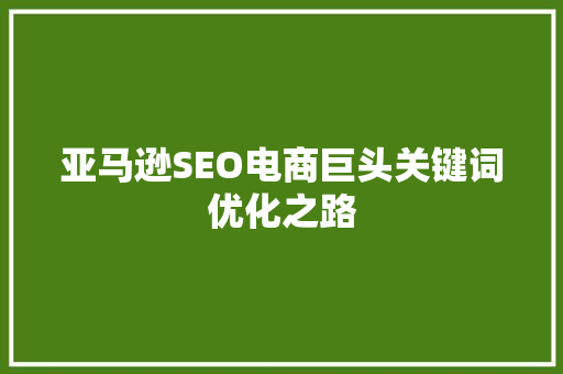 亚马逊SEO电商巨头关键词优化之路