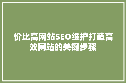 价比高网站SEO维护打造高效网站的关键步骤