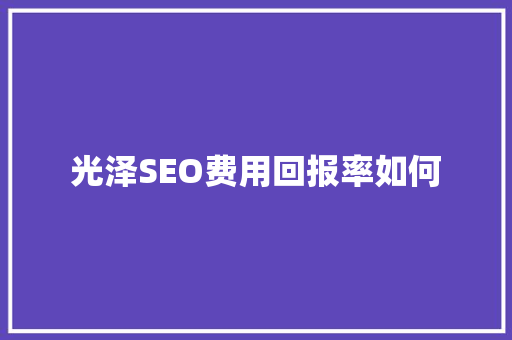 光泽SEO费用回报率如何