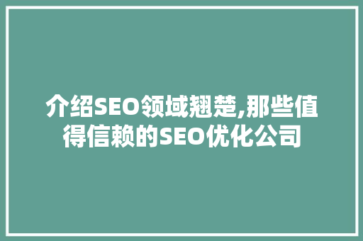 介绍SEO领域翘楚,那些值得信赖的SEO优化公司