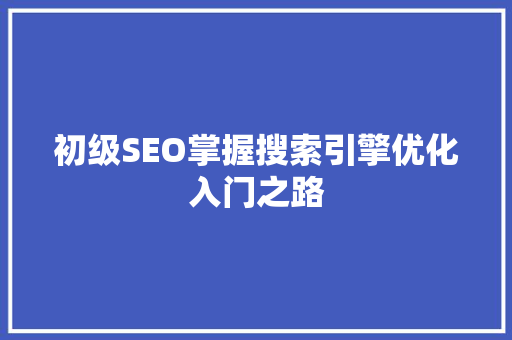 初级SEO掌握搜索引擎优化入门之路