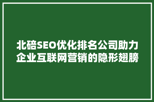 北碚SEO优化排名公司助力企业互联网营销的隐形翅膀