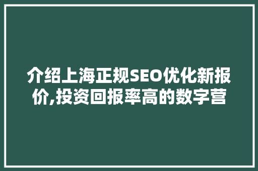 介绍上海正规SEO优化新报价,投资回报率高的数字营销之路