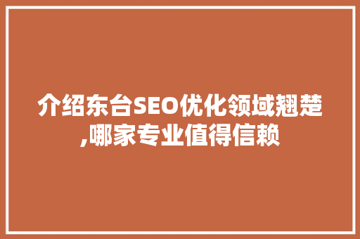 介绍东台SEO优化领域翘楚,哪家专业值得信赖