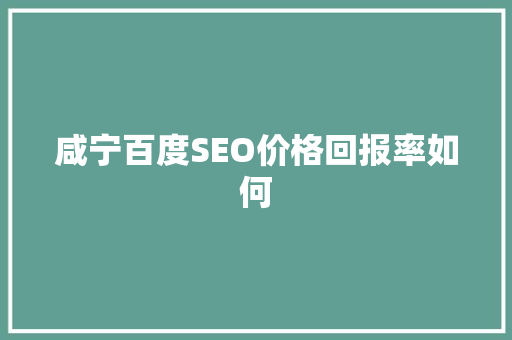 咸宁百度SEO价格回报率如何
