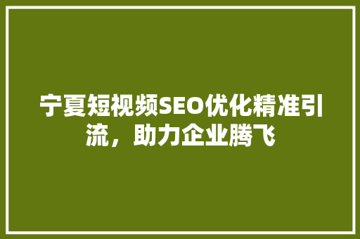 宁夏短视频SEO优化精准引流，助力企业腾飞