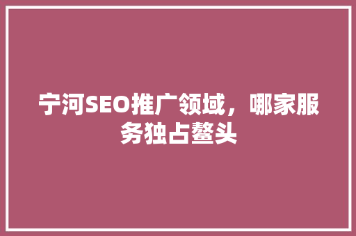 宁河SEO推广领域，哪家服务独占鳌头