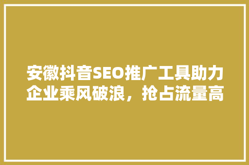安徽抖音SEO推广工具助力企业乘风破浪，抢占流量高地
