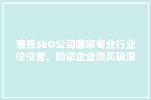 宝应SEO公司哪家专业行业佼佼者，助您企业乘风破浪