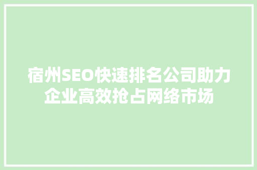 宿州SEO快速排名公司助力企业高效抢占网络市场