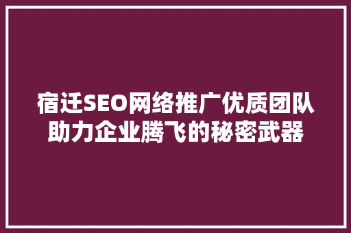 宿迁SEO网络推广优质团队助力企业腾飞的秘密武器