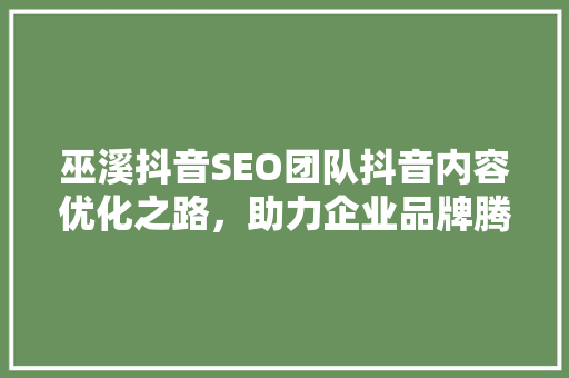 巫溪抖音SEO团队抖音内容优化之路，助力企业品牌腾飞