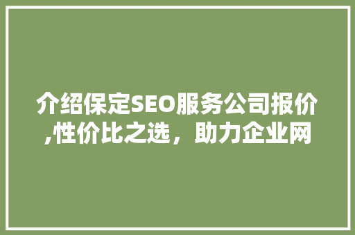 介绍保定SEO服务公司报价,性价比之选，助力企业网络营销