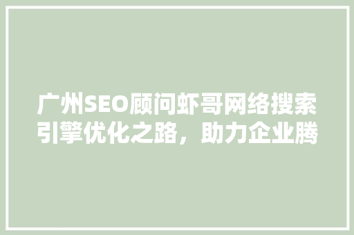 广州SEO顾问虾哥网络搜索引擎优化之路，助力企业腾飞