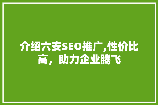 介绍六安SEO推广,性价比高，助力企业腾飞
