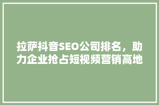 拉萨抖音SEO公司排名，助力企业抢占短视频营销高地
