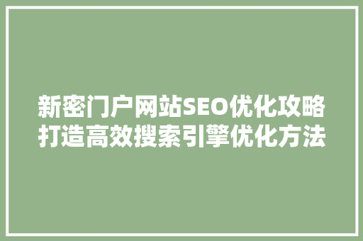 新密门户网站SEO优化攻略打造高效搜索引擎优化方法，助力网站流量提升
