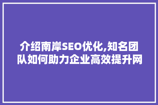 介绍南岸SEO优化,知名团队如何助力企业高效提升网站排名