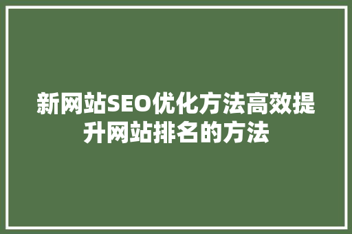 新网站SEO优化方法高效提升网站排名的方法