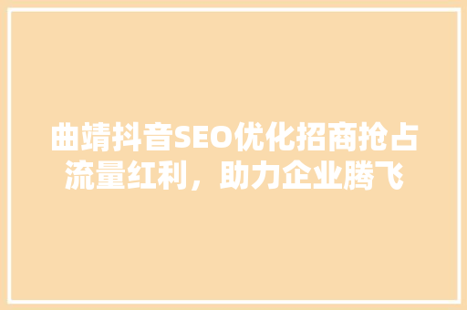 曲靖抖音SEO优化招商抢占流量红利，助力企业腾飞