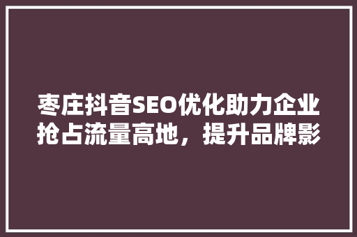 枣庄抖音SEO优化助力企业抢占流量高地，提升品牌影响力