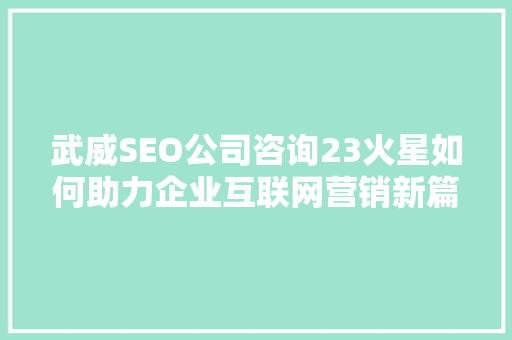 武威SEO公司咨询23火星如何助力企业互联网营销新篇章