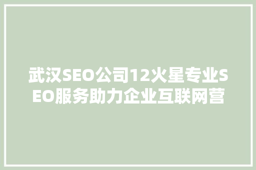 武汉SEO公司12火星专业SEO服务助力企业互联网营销新篇章