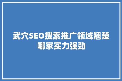 武穴SEO搜索推广领域翘楚哪家实力强劲
