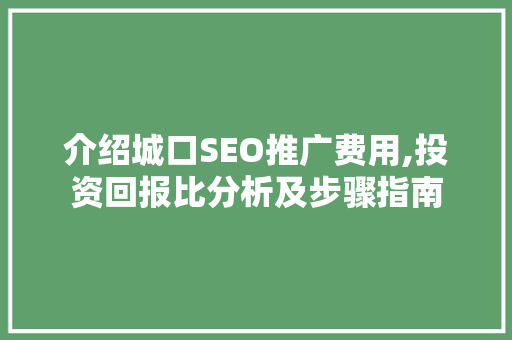 介绍城口SEO推广费用,投资回报比分析及步骤指南