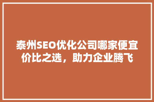 泰州SEO优化公司哪家便宜价比之选，助力企业腾飞