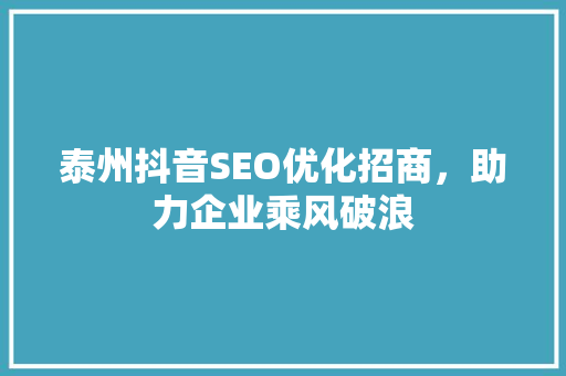 泰州抖音SEO优化招商，助力企业乘风破浪