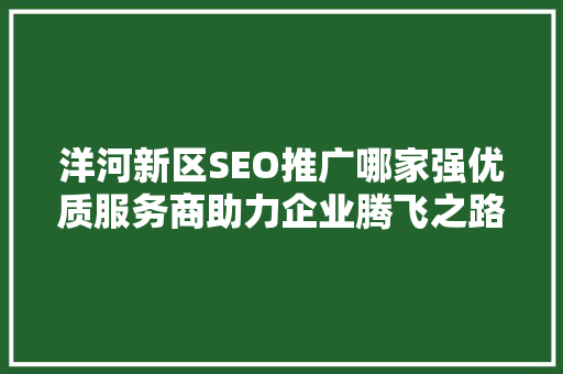 洋河新区SEO推广哪家强优质服务商助力企业腾飞之路