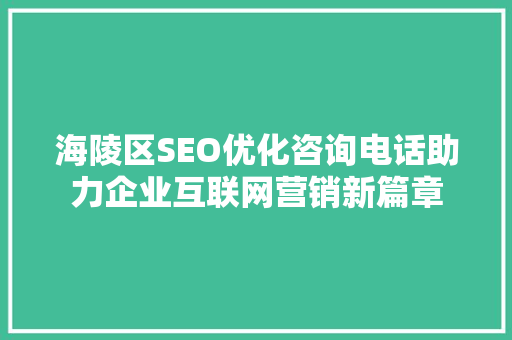 海陵区SEO优化咨询电话助力企业互联网营销新篇章