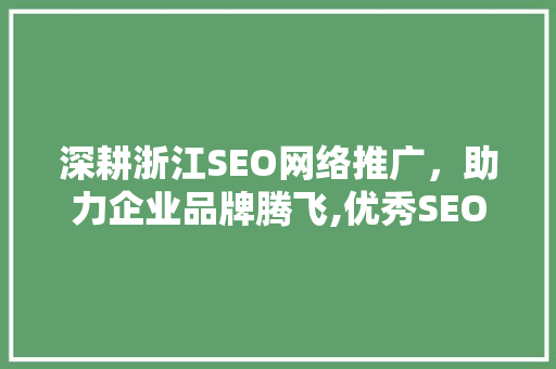 深耕浙江SEO网络推广，助力企业品牌腾飞,优秀SEO推广机构
