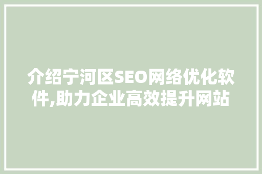 介绍宁河区SEO网络优化软件,助力企业高效提升网站排名