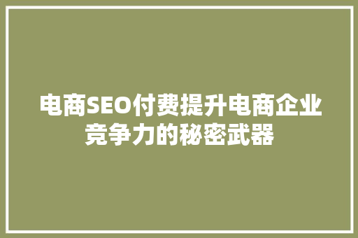 电商SEO付费提升电商企业竞争力的秘密武器