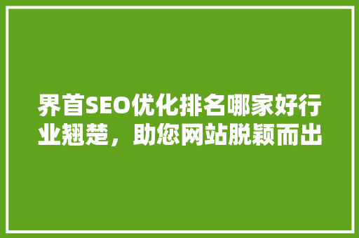 界首SEO优化排名哪家好行业翘楚，助您网站脱颖而出