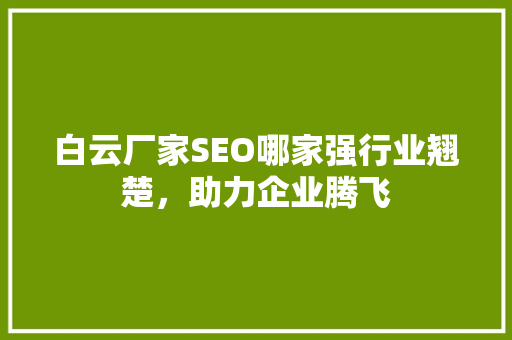 白云厂家SEO哪家强行业翘楚，助力企业腾飞